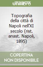 Topografia della città di Napoli nell'XI secolo (rist. anast. Napoli, 1895) libro