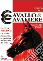 Cavallo e cavaliere