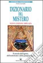 Dizionario del mistero libro