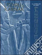 I templi di Karnak libro