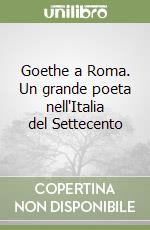 Goethe a Roma. Un grande poeta nell'Italia del Settecento libro