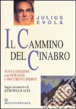 Il cammino del cinabro libro