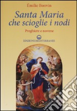 Santa Maria che scioglie i nodi. Preghiere e novene libro