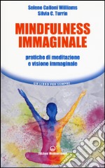 Mindfulness immaginale. Pratiche di meditazione e visione immaginale libro