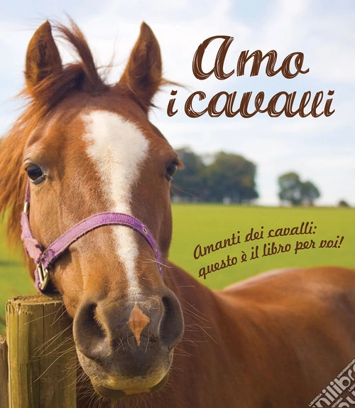 Amo i cavalli!
