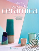 Lezioni di ceramica. Tecniche passo passo per vasellame colorato modellato al tornio e manualmente libro