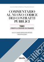 Commentario al nuovo codice dei contratti pubblici. Vol. 1: I principi e le procedure di affidamento