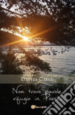 Non trovo parole, rifugio in poesia libro