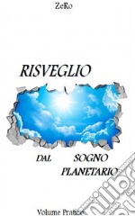 Risveglio dal sogno planetario. Vol. 1: Volume teorico libro