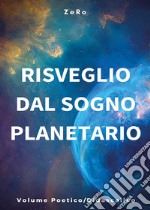 Risveglio dal sogno planetario. Vol. 3: Volume poetico-didascalico libro