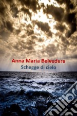 Schegge di cielo libro