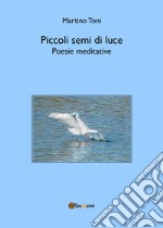 Piccoli semi di luce. Poesie meditative libro