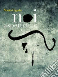 Noi aspettiamo