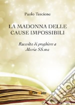 La Madonna delle cause impossibli libro