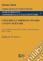 Crisi delle imprese minori: i nuovi scenari. Una proposta applicativa per la prevenzione della crisi