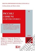 Piccoli comuni e centri storici libro