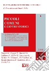 Piccoli comuni e centri storici libro