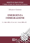 Emergenza immigrazione. D.L. 4 ottobre 2018, n. 113, conv. in L. 1 dicembre 2018, n. 132 libro