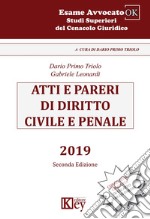 Atti e pareri di diritto civile e penale libro