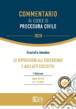 Le opposizioni all'esecuzione e agli atti esecutivi