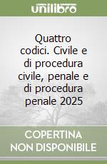 Quattro codici. Civile e di procedura civile, penale e di procedura penale 2025 libro