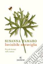 Invisibile meraviglia. Piccole lezioni sulla natura libro