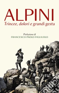 Alpini. Trincee, dolori e grandi gesta libro