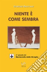 Niente è come sembra libro