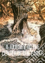 A journey to the center of the Earth libro