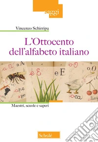 L'Ottocento nell'alfabeto italiano. Maestri, scuole e saperi. Nuova ediz. libro
