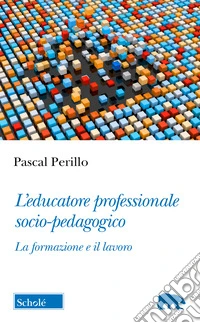 L'educatore professionale socio-pedagogico. La formazione e il lavoro libro