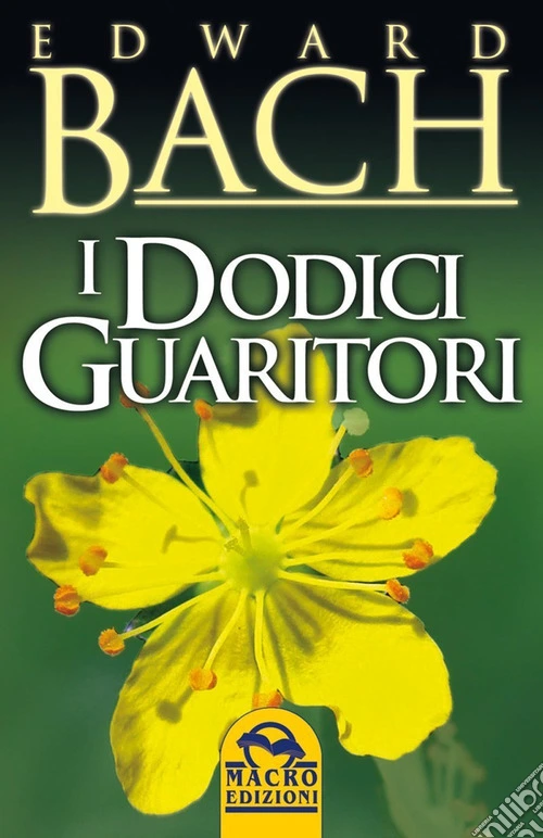 I dodici guaritori