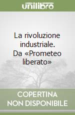 La rivoluzione industriale. Da «Prometeo liberato» libro