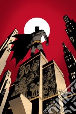 Le nuove avventure. Batman. Stagione uno libro