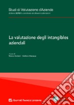 La valutazione degli intangibles aziendali libro