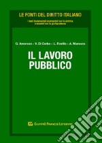 Il lavoro pubblico