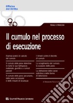 Il cumulo nel processo di esecuzione libro