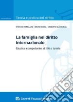 la famiglia nel diritto internazionale. Giudice competente, diritti e tutele