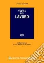 Codice del lavoro libro