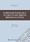 Il processo telematico nel sistema del diritto processuale civile libro di Ruffini G. (cur.)