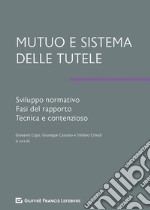 Mutuo e sistema delle tutele. Sviluppo normativo, fasi del rapporto, tecnica e contenzioso libro