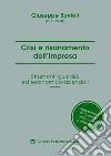 Crisi e risanamento d'impresa. Gli strumenti giuridici ed economico aziendali libro