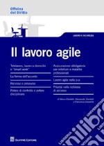 Il lavoro agile libro