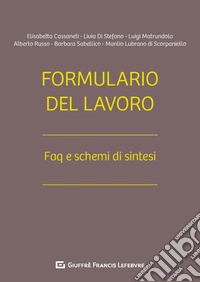 Formulario del lavoro. Faq e schemi di sintesi libro