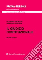 Il giudizio costituzionale libro