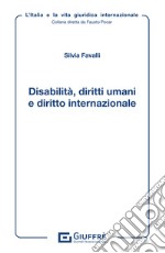 Disabilità, diritti umani e diritto internazionale libro