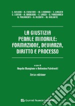 La giustizia penale minorile: formazione, devianza, diritto e processo libro