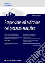 Sospensione ed estinzione del processo esecutivo