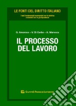 Il processo del lavoro libro