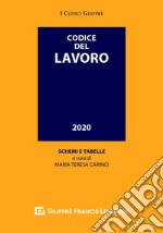 Codice del lavoro libro